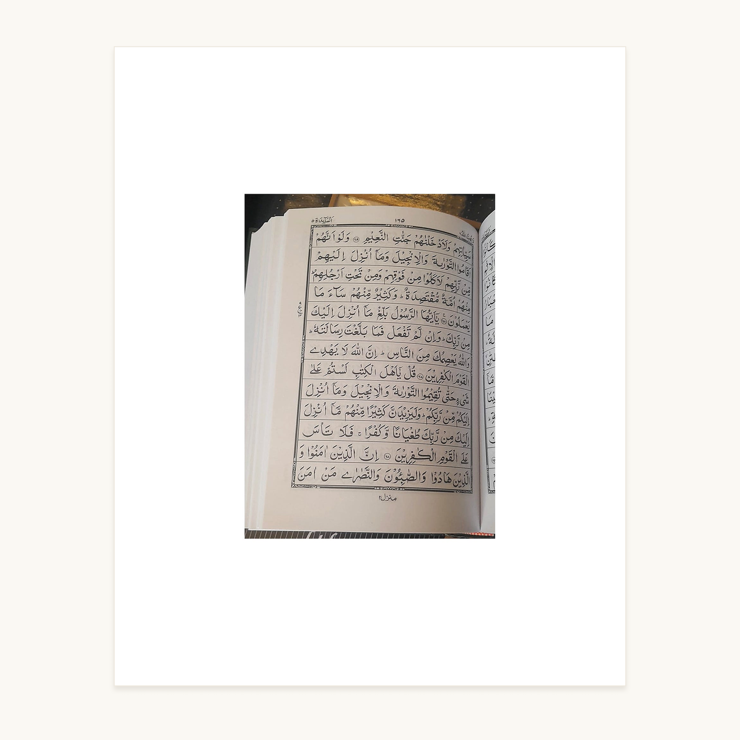 Holy Quran – Green, Red & Gold Embossed Edition – Indo-Pak Script inside script page – original text preserved