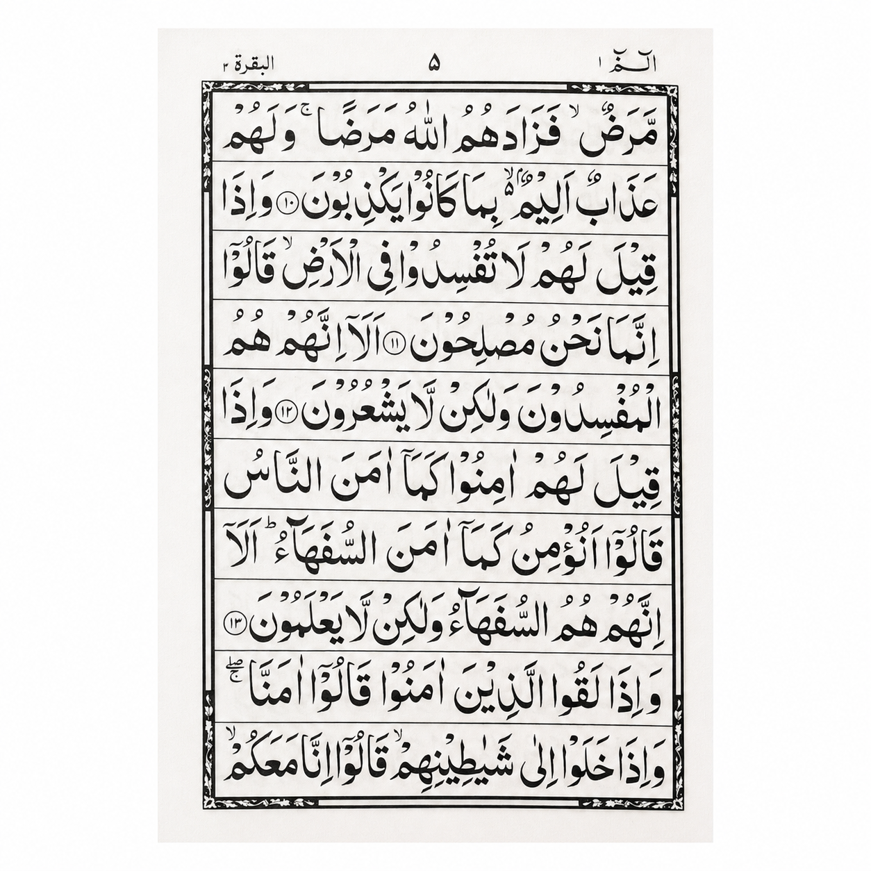 Indo-Pak script Para set inside Quran page