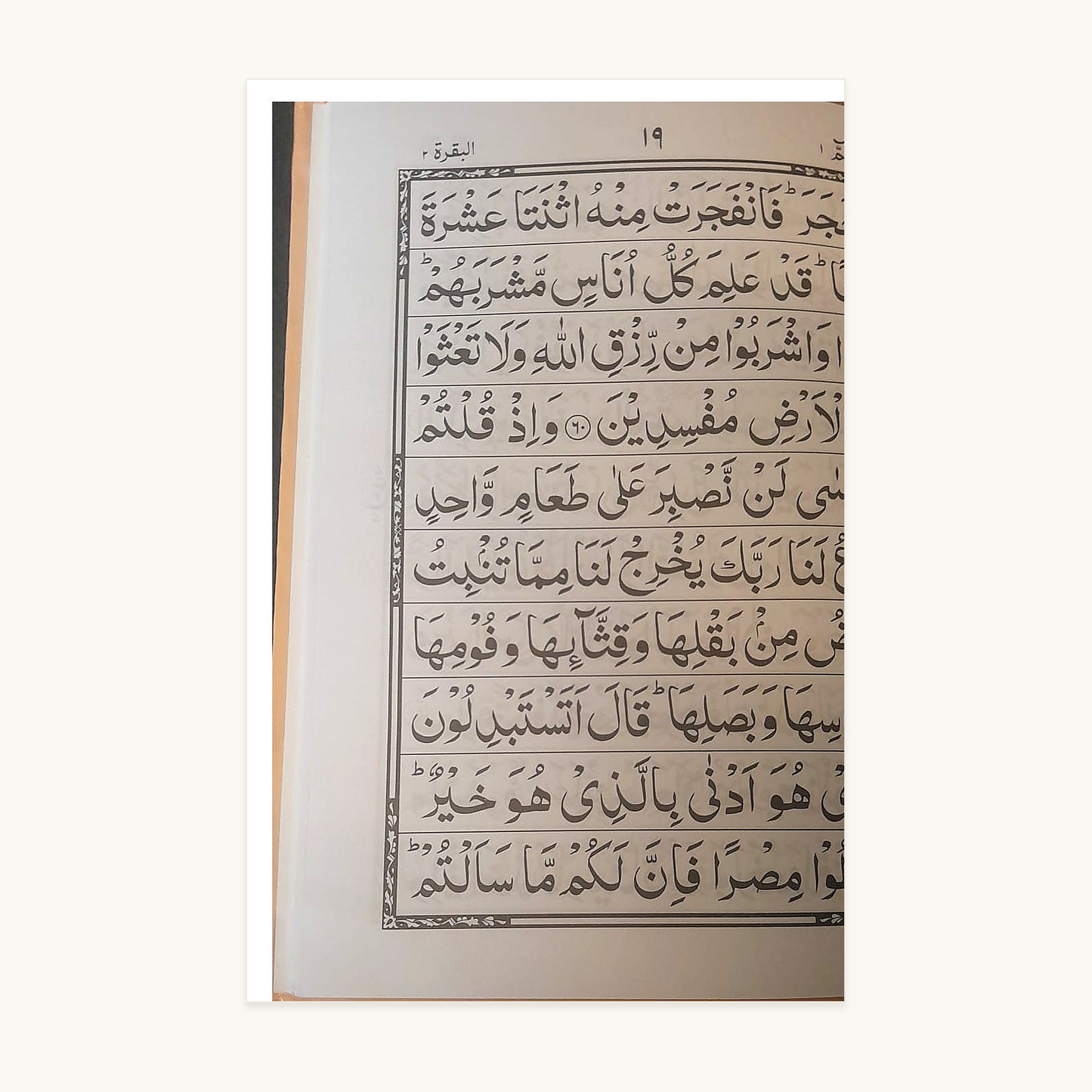 Selected Surahs – Arabic Reading Booklet inside script page – original text preserved