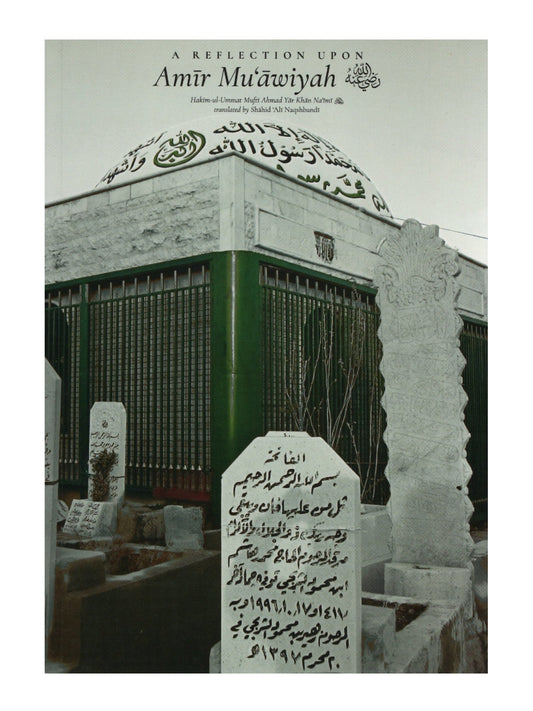 A Reflection Upon Amir Mu'awiyah book cover
